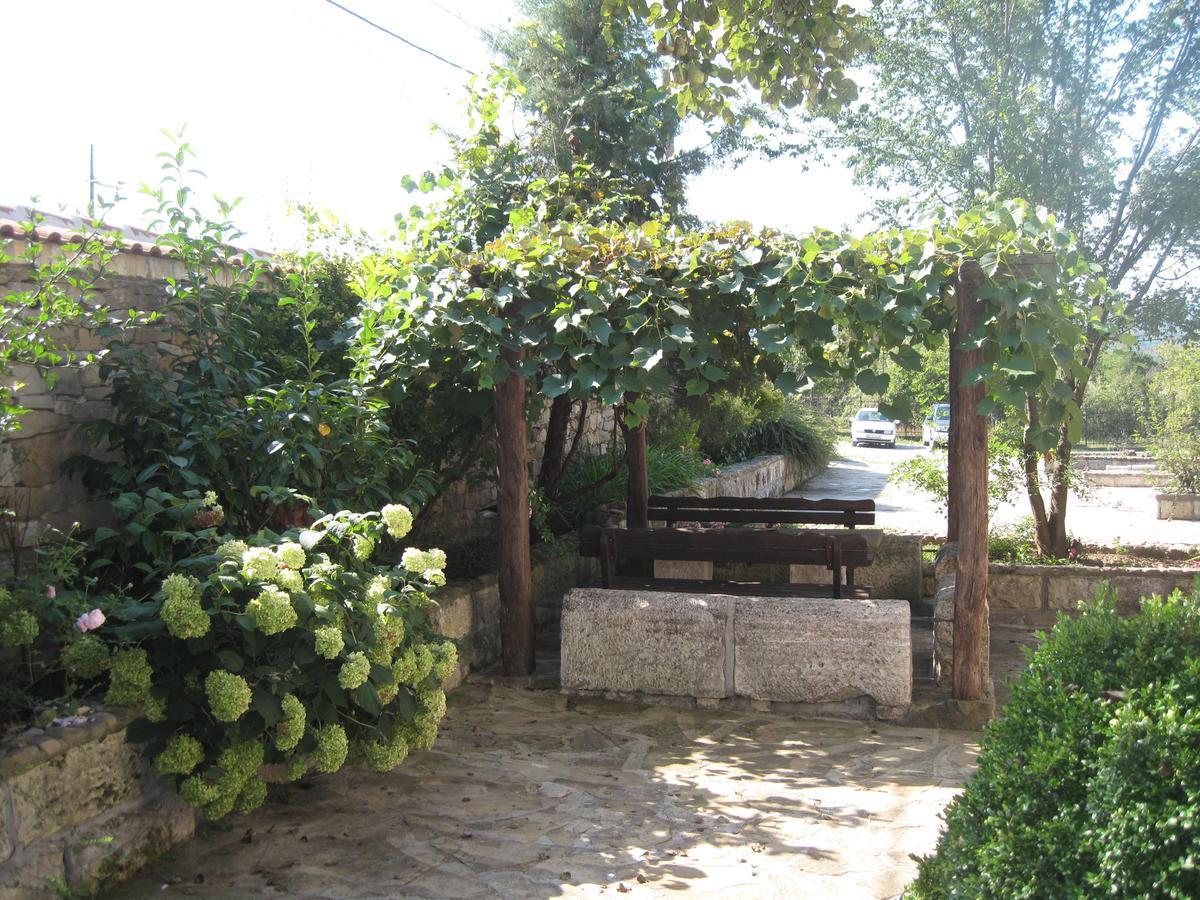Guest House Galba Bruchkovtsi Экстерьер фото